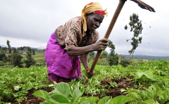 10-year Climate Smart Agriculture Implementation Framework launched in Kenya